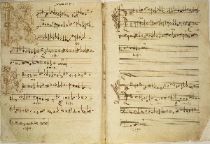 music19