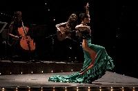 Flamenco voor strijkers en accordeonisten