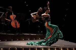Flamenco1