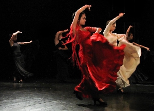 Flamenco2