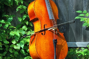 free-photo-of-a-bow-and-a-cello