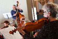 Altviool voor violisten