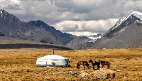 Mongoolse keelzang en boventonen