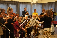 Taraf: Roemeens en Hongaars orkest